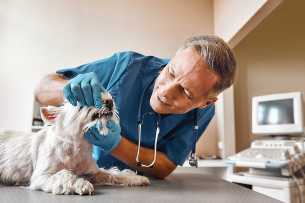 Best Urgent Care for Lost Fillings or Crowns in Granite Quarry, NC